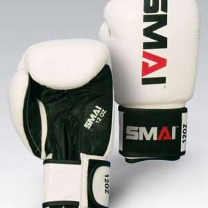 Pro Fighter Boxing Gloves
