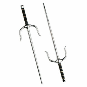 Sai IPPONSPORTS